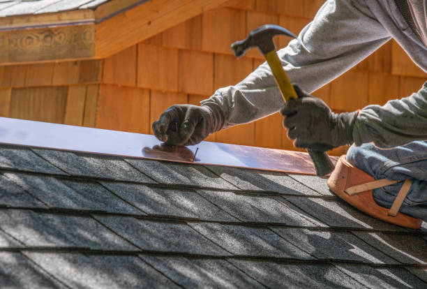 Best Asphalt Shingle Roofing  in Luckey, OH
