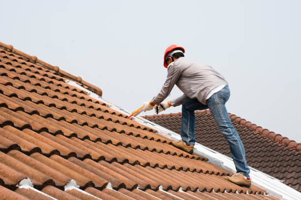 Best Tile Roofing Installation  in Luckey, OH